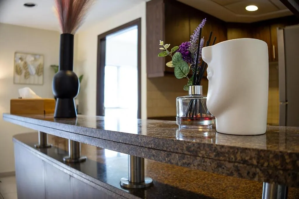 Centrally Located In Business Bay - Huge 1 Bedroom Hall In Executive Towers Dubai Apartment
